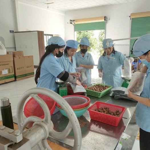 Xưởng Sản xuất, chế biến Mac ca Công ty TNHH Nông sản Mac ca Hoai Anh