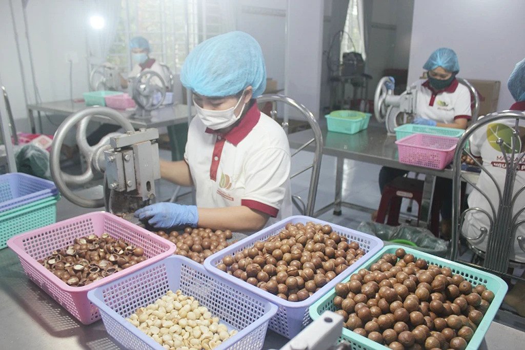 CÔNG TY TNHH NÔNG SẢN HUY HIẾU